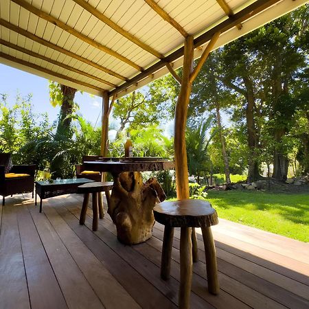 Bungalow Le Balisier ปวงต์-นัวร์ ภายนอก รูปภาพ